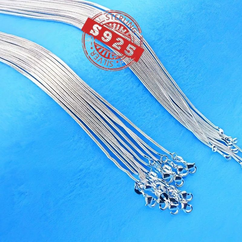 925 Sterling Silver Snake Bone Necklace, Hip-Hop Korean Style, Non-Plated Solid Chain for Parties and Music Festivals, Women'S Minimalist Jewelry Gift - 5pcs Set