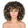 Women's Sassy Afro Kinky Curly Wig - 14" Coily Style, High Temperature Fiber, Heat Resistant | Natural Look | Ideal for Daily Wear & Halloween Parties