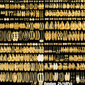 48 Stylish, Minimalist Golden-tone Alloy Earring Sets • A Random Selection • Perfect for Casual Attire, Holidays, Parties And As Festive Gifts